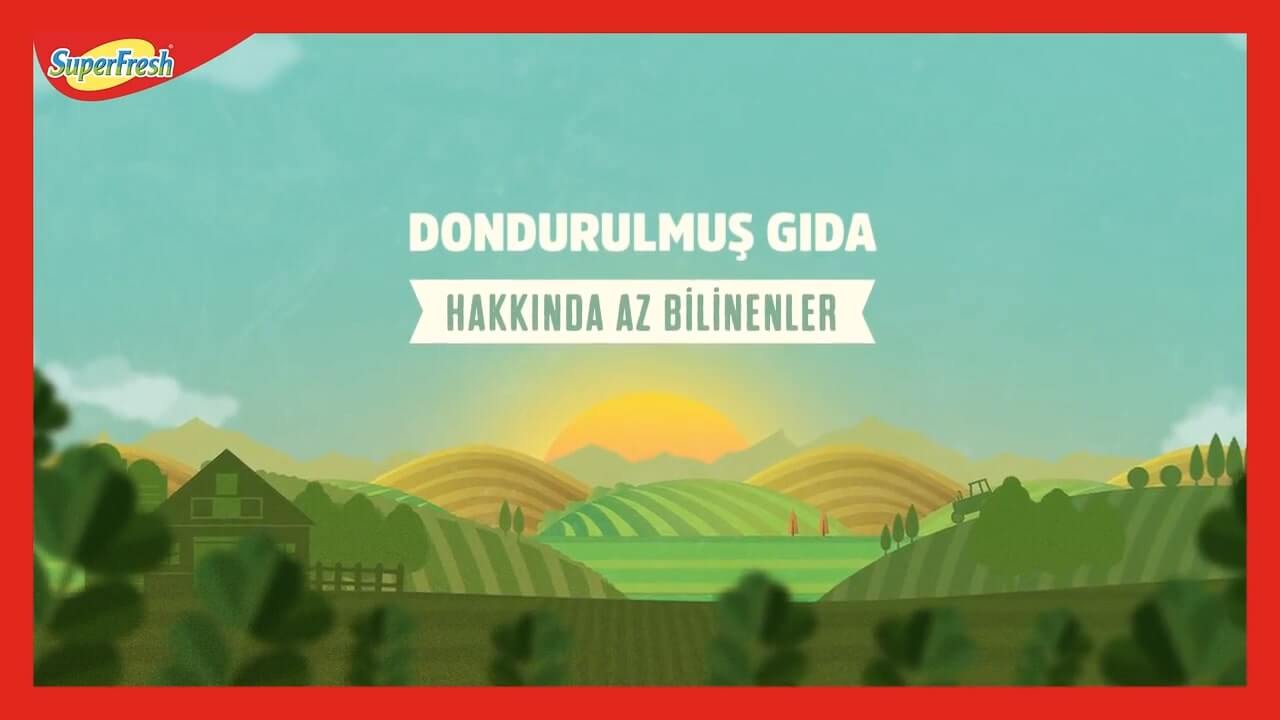 Sebzelerimiz Hangi Aşamalardan Geçerek Paketleniyor?